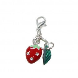 Keyring Clip Charms