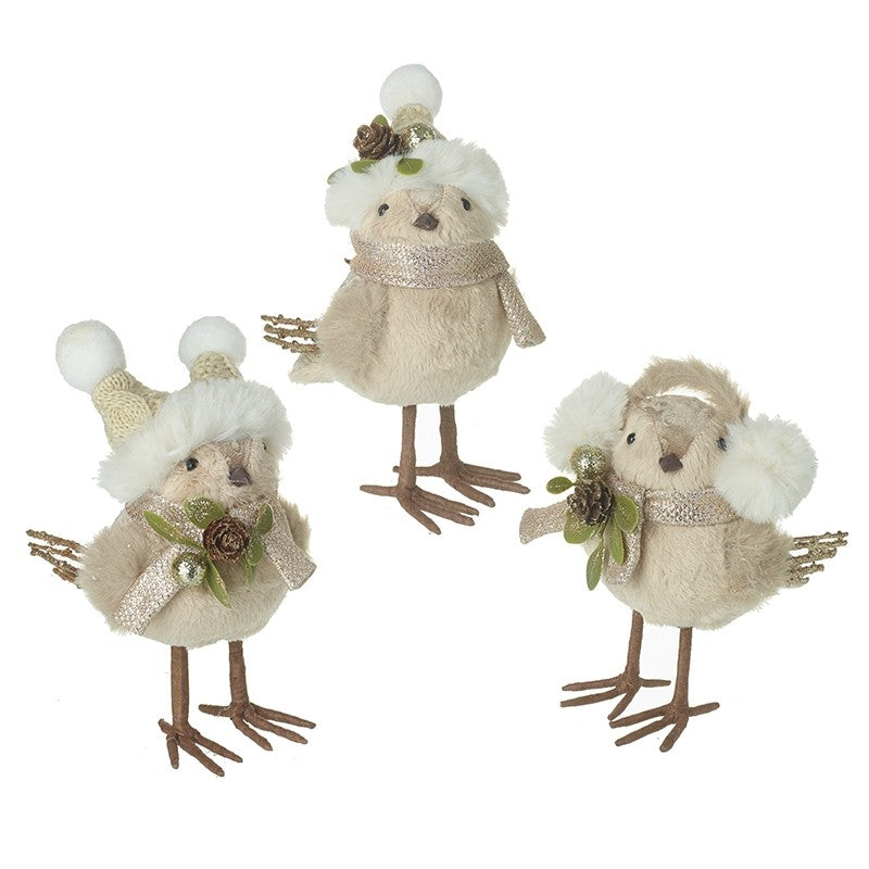 Bird In Hats & Ear Muffs (3 Choices)