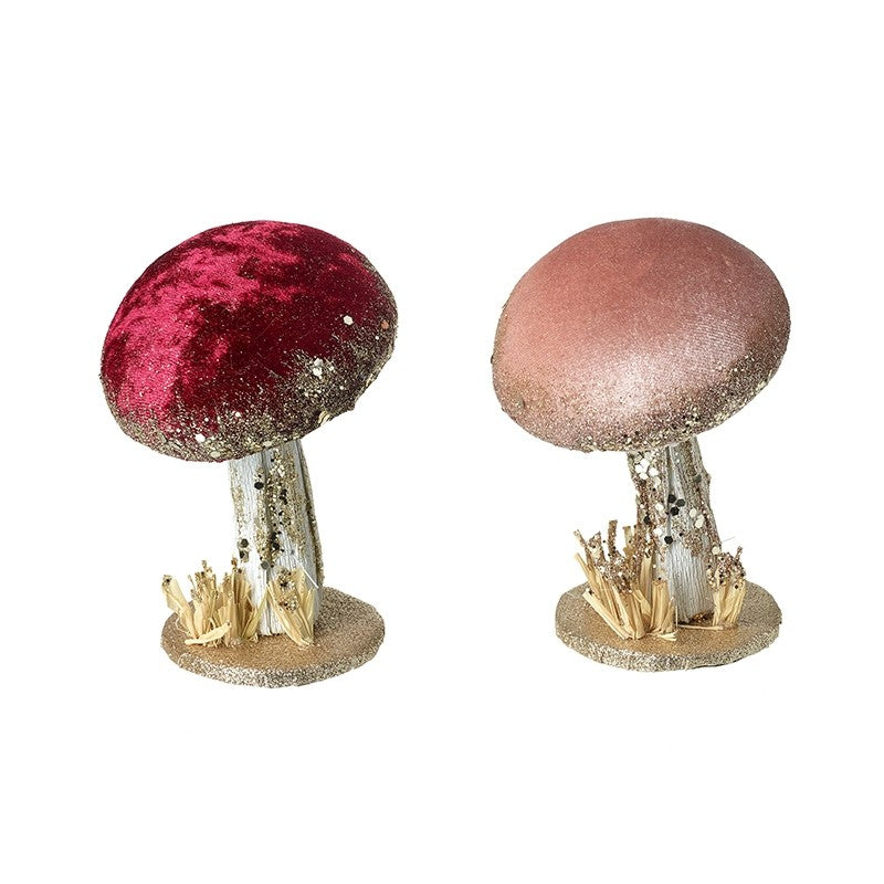 Velvet Mushrooms (Choice 2)