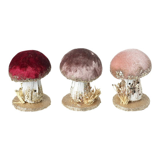 Small Velvet Mushrooms (3 Choices)